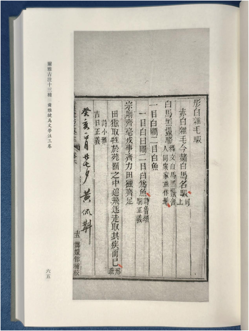 cbfa53f1e523e544d0253b372b7c838f.png